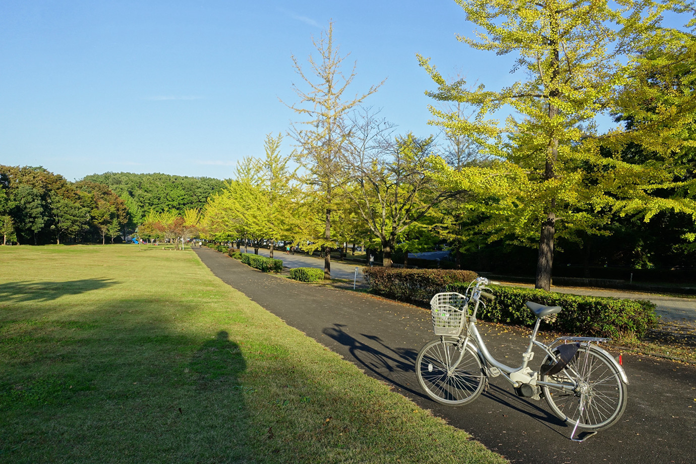 琦玉秩父-秩父繆思公園